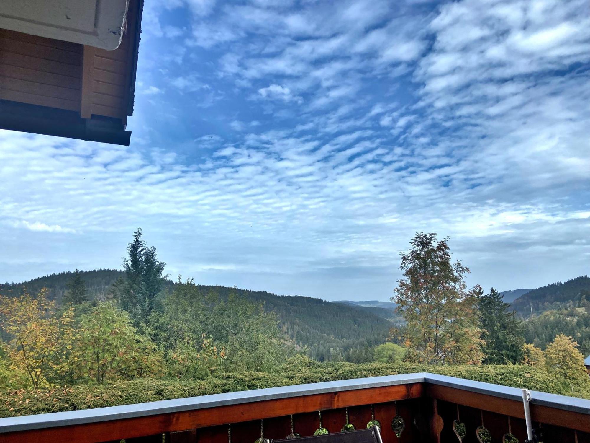 Ferienwohnung Seeblick Nr 2 5-Zimmerwohnung - Feldberg Baerental Rotwasser Экстерьер фото