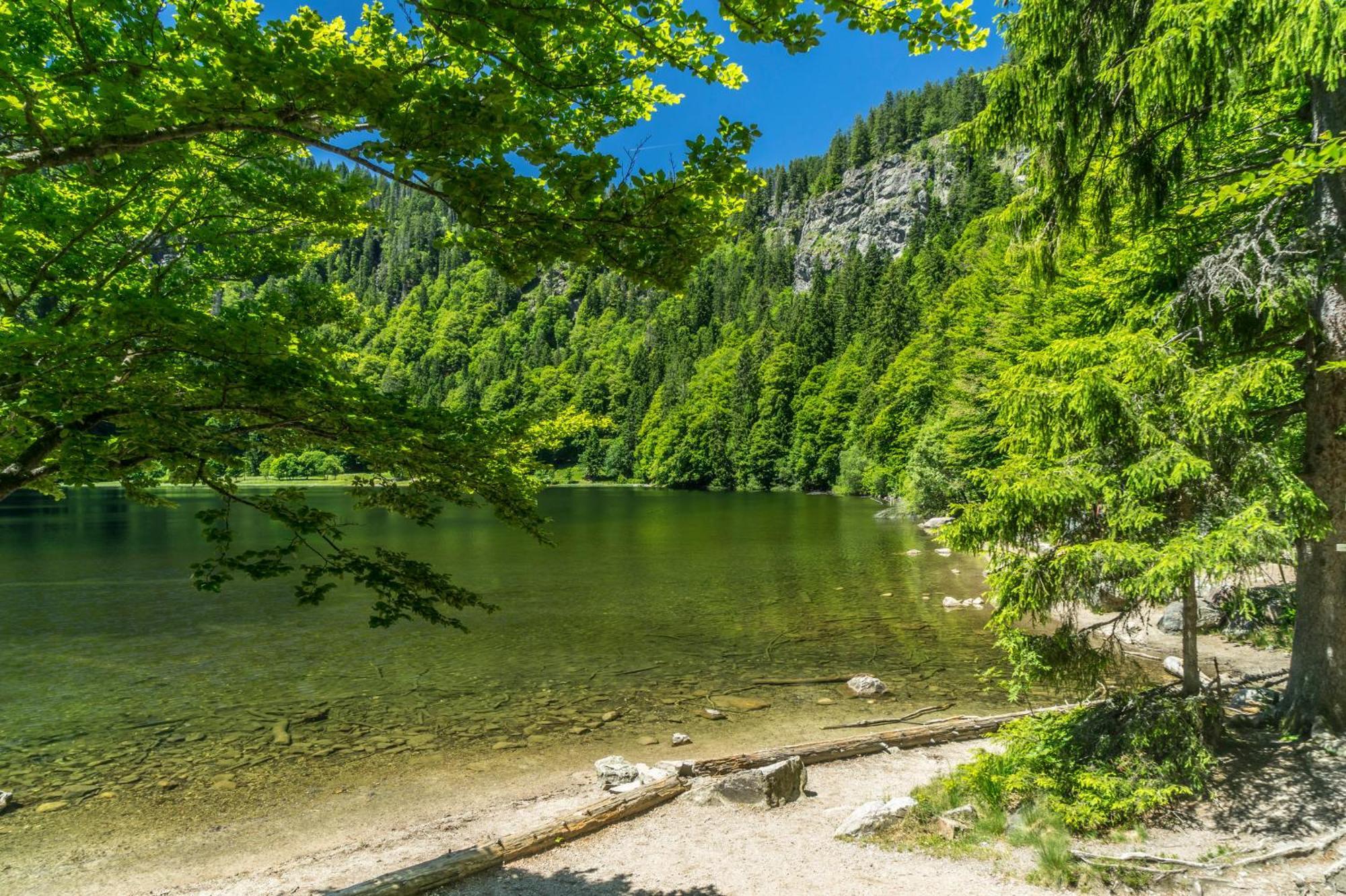 Ferienwohnung Seeblick Nr 2 5-Zimmerwohnung - Feldberg Baerental Rotwasser Экстерьер фото
